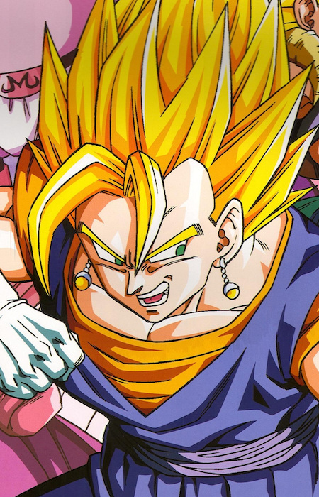 Vegetto