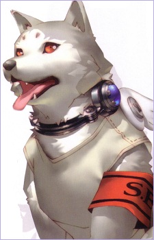 Koromaru