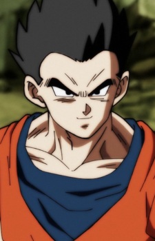 Gohan Son