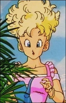 Bulma's Mother