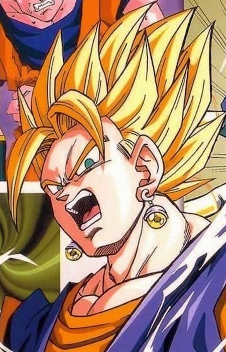 Vegetto